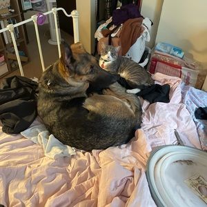 Meet your Posher, Bobby